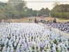 Merajut Kasih Sayang Melalui Doa Bersama 17 Agustus Doa Bersama di Sunan Drajat