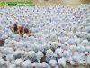 Doa Bersama Pengasuh Sebelum UNBK Dengan Khusyu' mereka berdoa