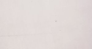 Harumkan Nama Pesantren! Santri Pondok Pesantren Sunan Drajat Raih Juara 3 MHQ Tingkat Jawa Timur